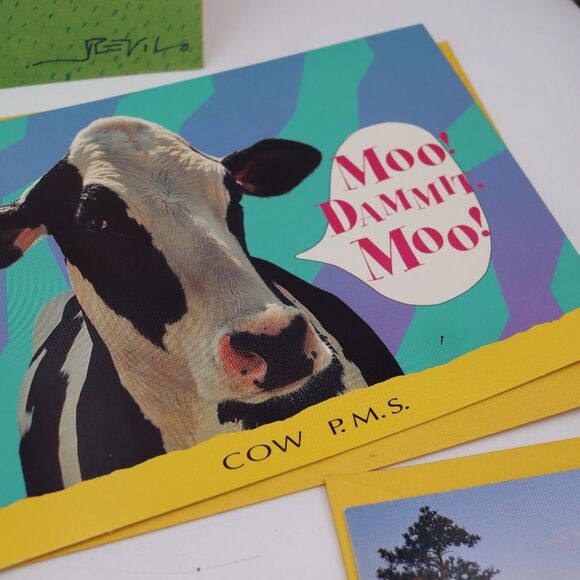 Vintage Lot of Greeting Cards Thanksgiving Christmas Birthday Funny Assorted Car - Picture 10 of 11